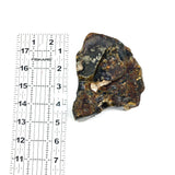 Large Amber Stone
