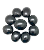 Shungite Palm Stone - Medium